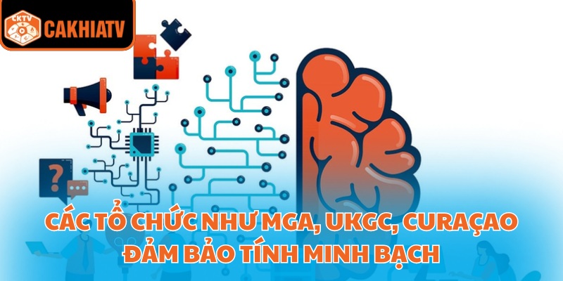Bản Quyền Cakhiatv – Đảm Bảo Công Bằng Và Minh Bạch 3 Các tổ chức như MGA, UKGC, Curaçao đảm bảo tính minh bạch